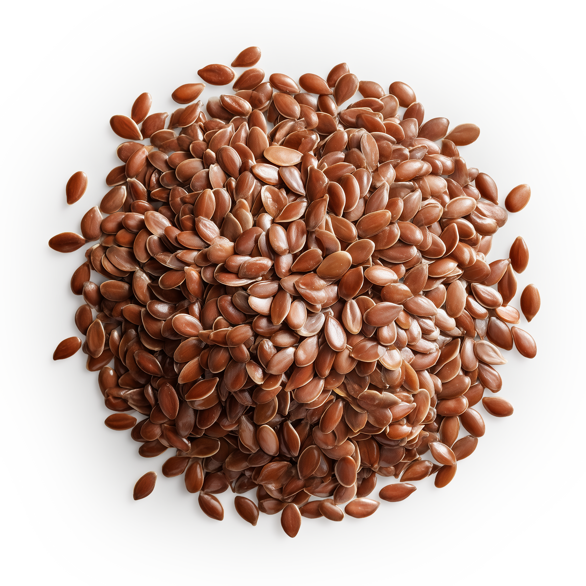Flax Seeds