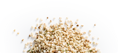 Hemp Seeds