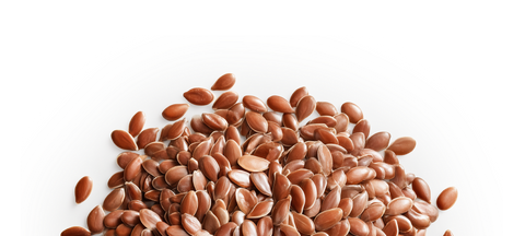 Flax Seeds used in The Forward Bar