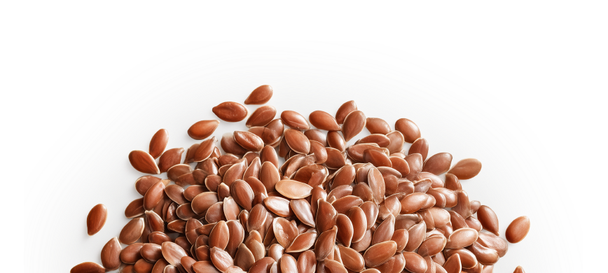 Flax Seeds