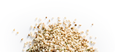 Hemp Seeds used in The Forward Bar