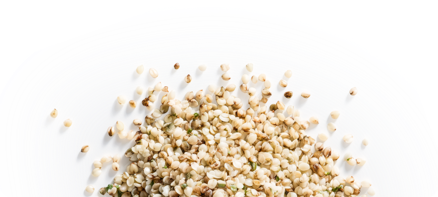 Hemp Seeds