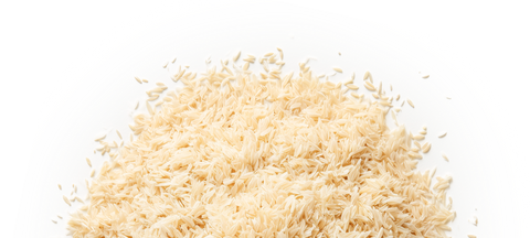 Psyllium Husk used in The Forward Bar